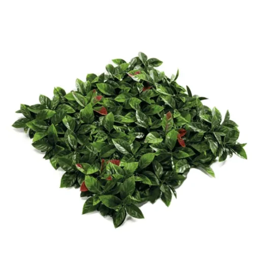 Jardín Vertical Photinia