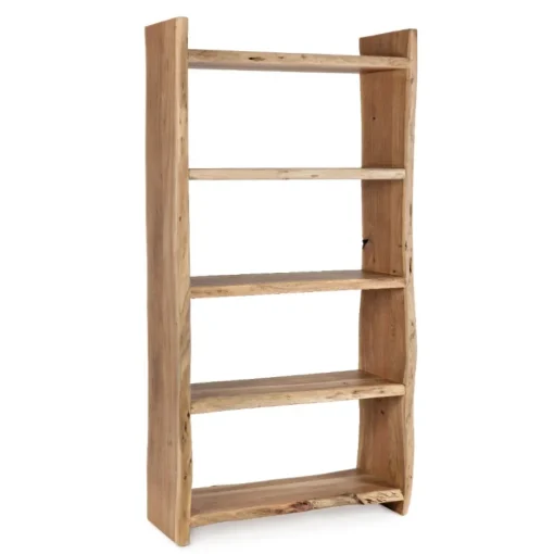Librería europa