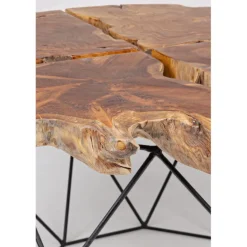 mesa de centro raíz y acero