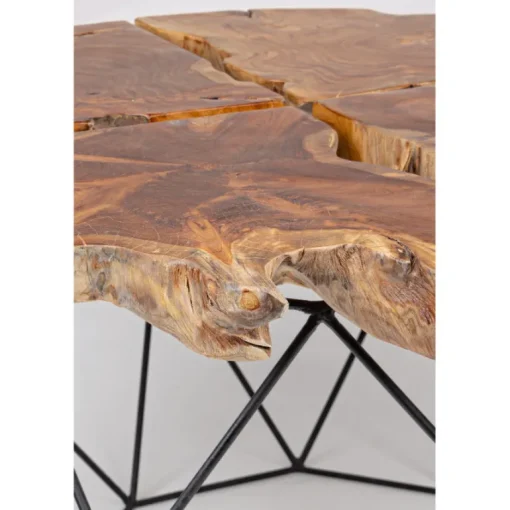 mesa de centro raíz y acero