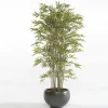 Árbol Bambú Deluxe