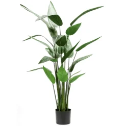 Árbol Heliconia