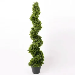 Árbol Kentia grande