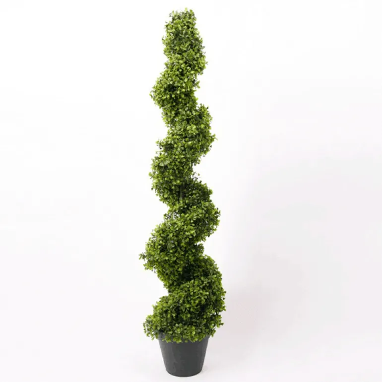 Árbol Kentia grande