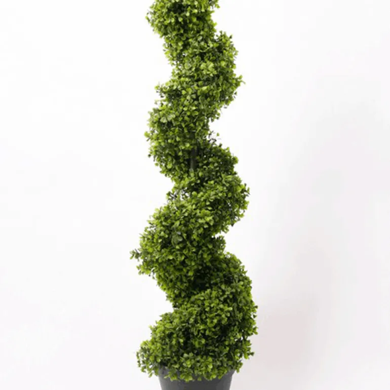 Árbol Kentia grande