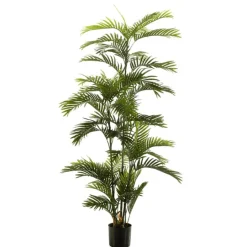 Árbol Palmera Eco