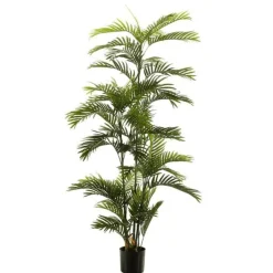 Árbol Palmera Premium