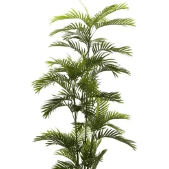 Árbol Palmera Premium