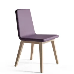 Silla Amici